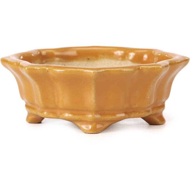 Maceta de bonsái naranja Mokko de Shozan - 87 x 70 x 30 mm