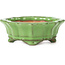 Mokko green bonsai pot by Shozan - 87 x 70 x 30 mm