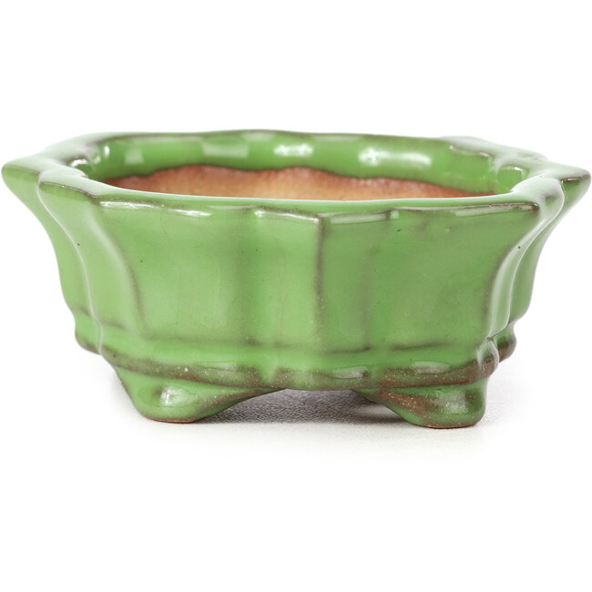 Mokko green bonsai pot by Shozan - 87 x 70 x 30 mm