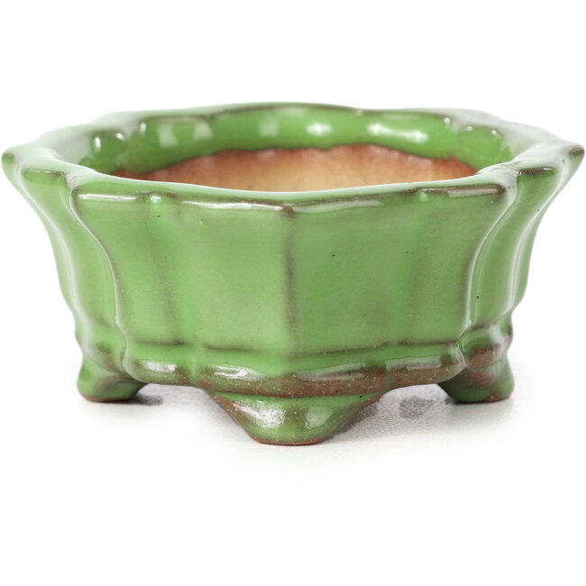 Maceta de bonsái verde Mokko de Shozan - 87 x 70 x 30 mm