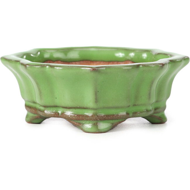 Vaso per bonsai Mokko verde di Shozan - 87 x 70 x 30 mm