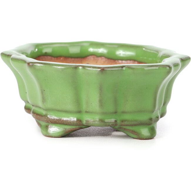 Maceta de bonsái verde Mokko de Shozan - 87 x 70 x 30 mm