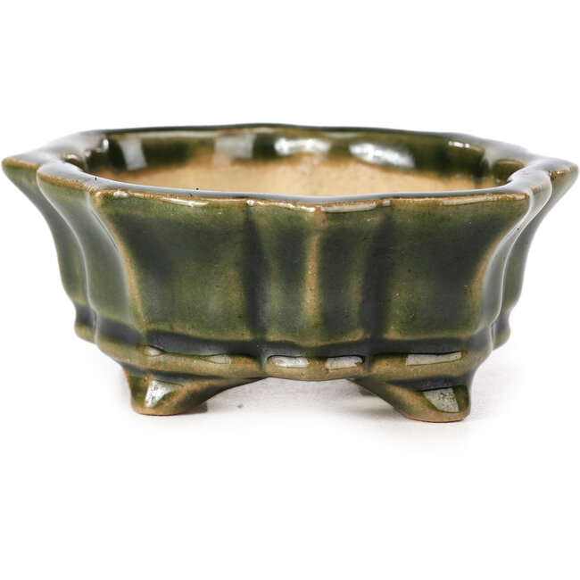 Pot à bonsaï Mokko vert par Shozan - 87 x 70 x 30 mm