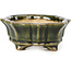 Mokko green bonsai pot by Shozan - 87 x 70 x 30 mm