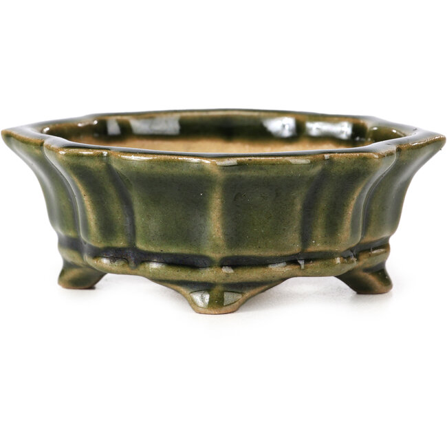 Mokko green bonsai pot by Shozan - 87 x 70 x 30 mm