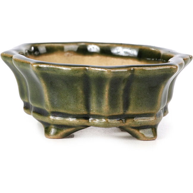 Pot à bonsaï Mokko vert par Shozan - 87 x 70 x 30 mm