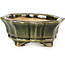 Mokko green bonsai pot by Shozan - 87 x 70 x 30 mm