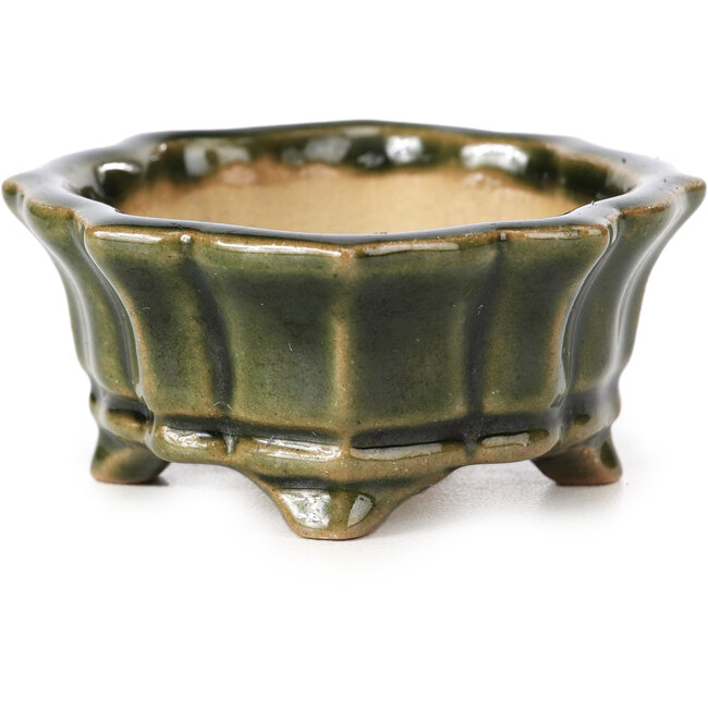 Vaso per bonsai Mokko verde di Shozan - 87 x 70 x 30 mm