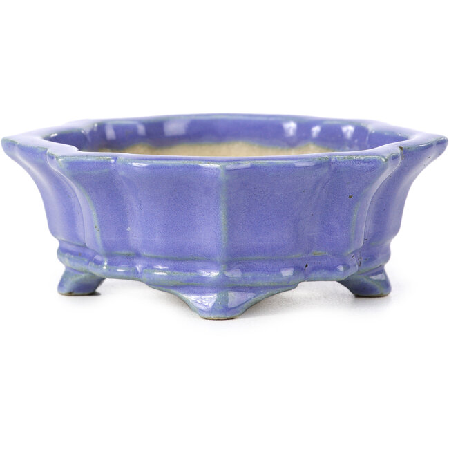 Maceta de bonsái azul Mokko de Shozan - 87 x 70 x 30 mm