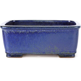  Shibakatsu (Katsuichi Shibata) 161 mm rectangular blue bonsai pot by Shibakatsu, Tokoname, Japan