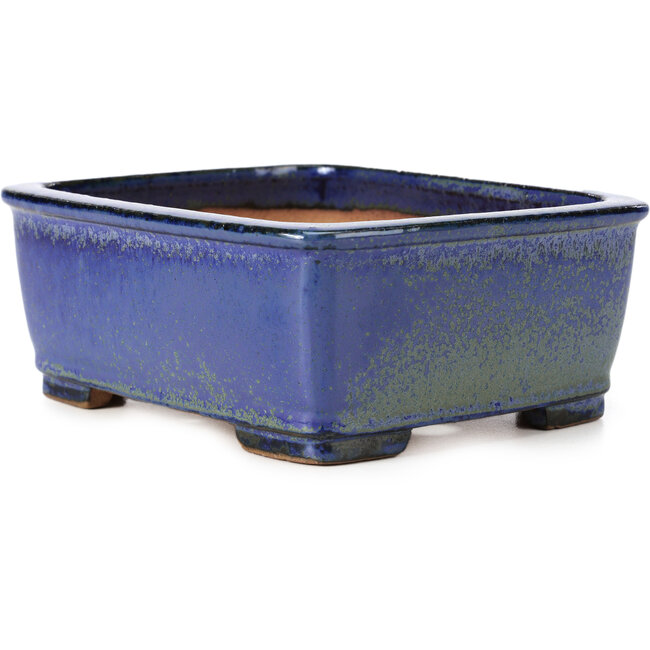Pot à bonsaï rectangulaire bleu par Shibakatsu - 161 x 132 x 62 mm