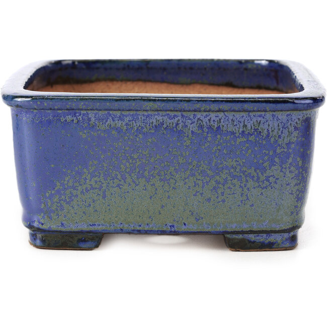 Rechthoekige blauwe bonsaipot van Shibakatsu - 161 x 132 x 62 mm