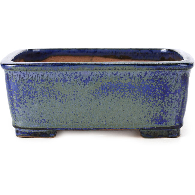 Maceta de bonsái rectangular azul de Shibakatsu - 161 x 132 x 62 mm