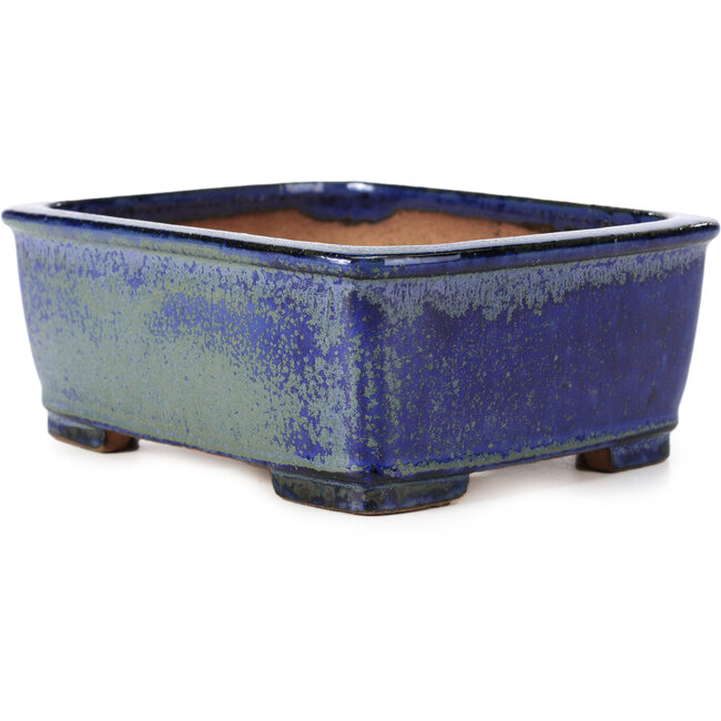 Rechthoekige blauwe bonsaipot van Shibakatsu - 161 x 132 x 62 mm