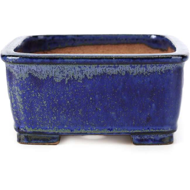 Rechthoekige blauwe bonsaipot van Shibakatsu - 161 x 132 x 62 mm