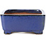 Pot à bonsaï rectangulaire bleu et vert par Shibakatsu - 129 x 103 x 43 mm