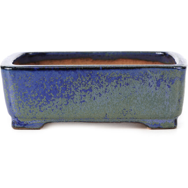Vaso per bonsai rettangolare blu e verde di Shibakatsu - 129 x 103 x 43 mm