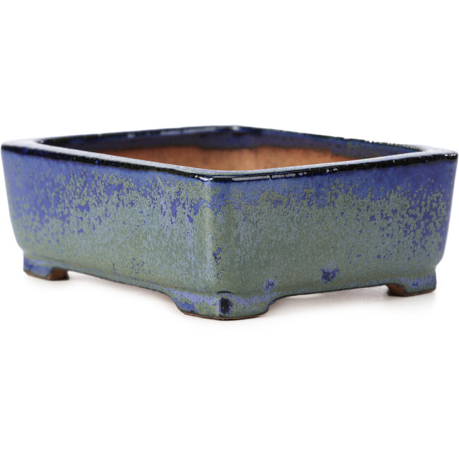 Maceta de bonsái rectangular azul y verde de Shibakatsu - 129 x 103 x 43 mm