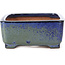 Rectangular blue and green bonsai pot by Shibakatsu - 129 x 103 x 43 mm