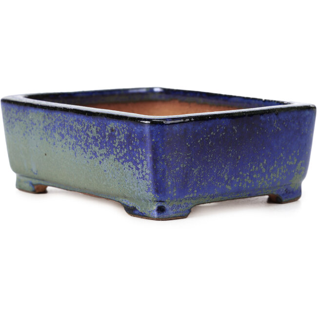 Vaso per bonsai rettangolare blu e verde di Shibakatsu - 129 x 103 x 43 mm