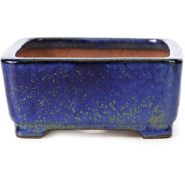 Vaso per bonsai rettangolare blu e verde di Shibakatsu - 129 x 103 x 43 mm