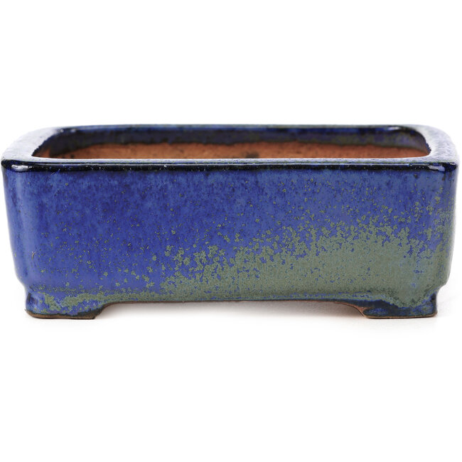 Rechteckige blaue und grüne Bonsaischale von Shibakatsu - 129 x 103 x 43 mm