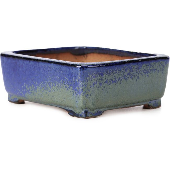 Maceta de bonsái rectangular azul y verde de Shibakatsu - 129 x 103 x 43 mm