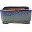 Pot à bonsaï rectangulaire bleu et vert par Shibakatsu - 129 x 103 x 43 mm