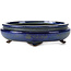 Pot à bonsaï ovale bleu et vert par Shibakatsu - 137 x 114 x 40 mm