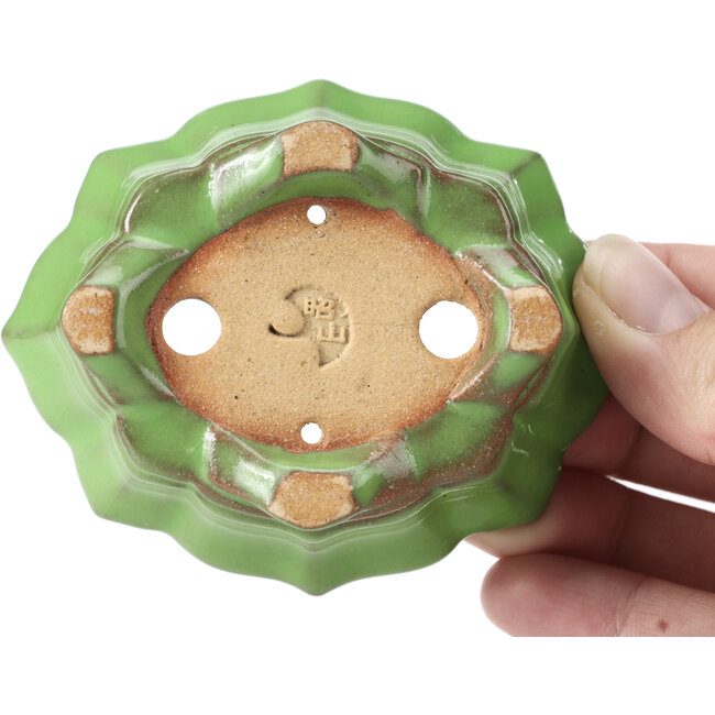 Maceta de bonsái verde Mokko de Shozan - 87 x 70 x 30 mm