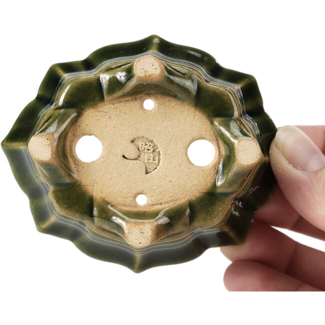 Maceta de bonsái verde Mokko de Shozan - 87 x 70 x 30 mm