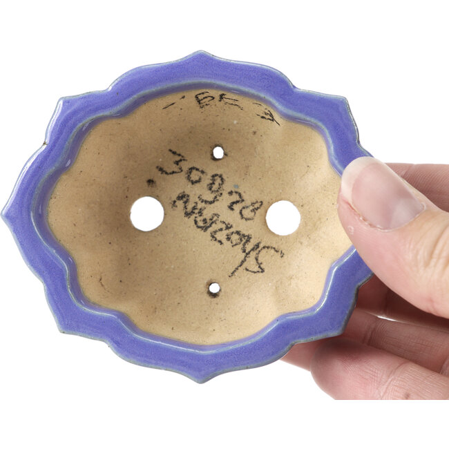 Maceta de bonsái azul Mokko de Shozan - 87 x 70 x 30 mm