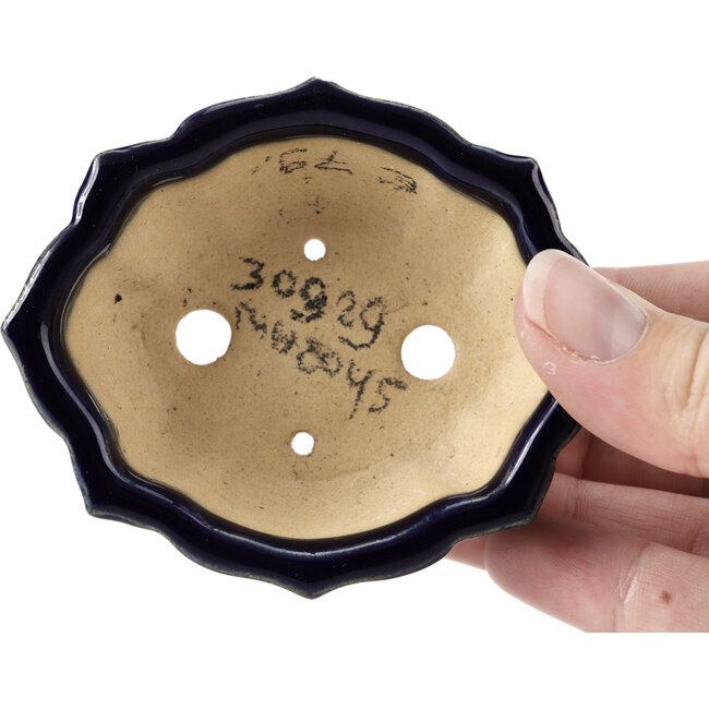 Maceta de bonsái azul Mokko de Shozan - 87 x 70 x 30 mm