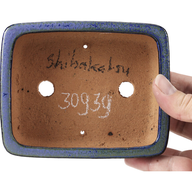 Pot à bonsaï rectangulaire bleu et vert par Shibakatsu - 129 x 103 x 43 mm