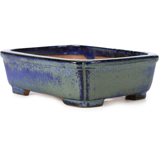 Vaso per bonsai rettangolare blu e verde di Shibakatsu - 146 x 111 x 45 mm