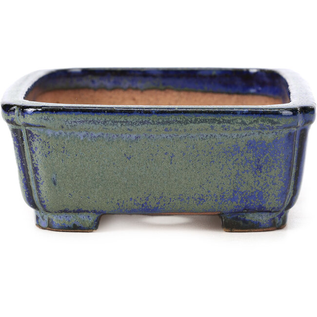Rechteckige blaue und grüne Bonsaischale von Shibakatsu - 146 x 111 x 45 mm