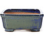 Rectangular blue and green bonsai pot by Shibakatsu - 146 x 111 x 45 mm