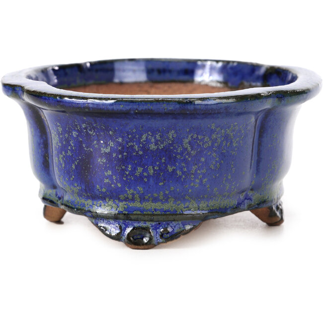 Pot à bonsaï Mokko bleu et vert par Shibakatsu - 129 x 103 x 50 mm