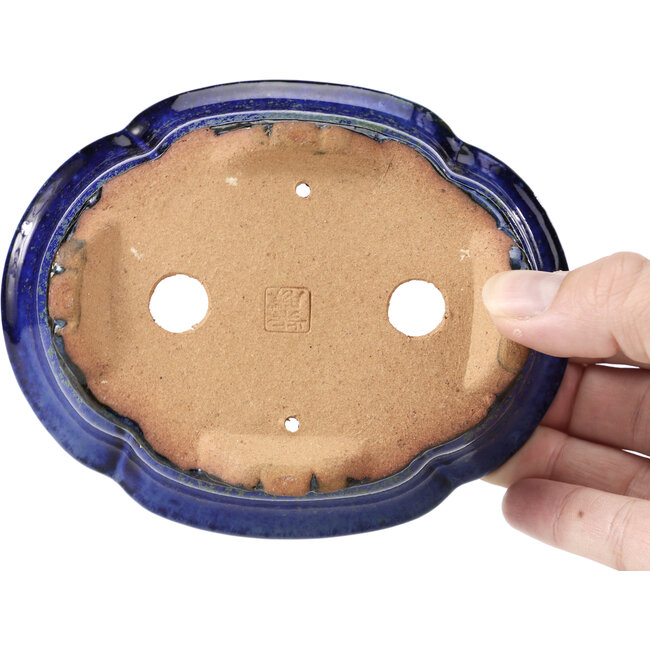 Vaso per bonsai Mokko blu e verde di Shibakatsu - 129 x 103 x 50 mm