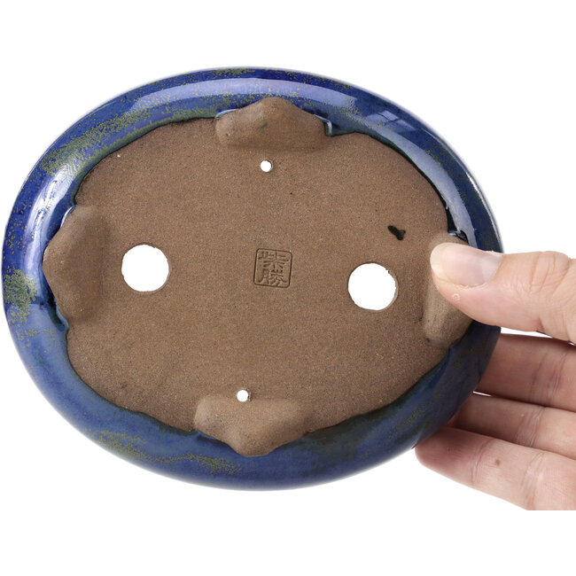 Pot à bonsaï ovale bleu et vert par Shibakatsu - 137 x 114 x 40 mm