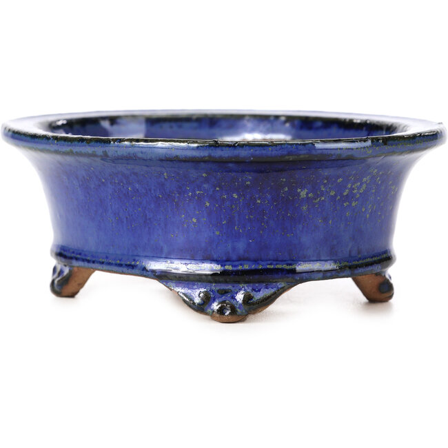 Maceta de bonsái azul ovalada de Shibakatsu - 126 x 103 x 45 mm