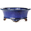 Vaso per bonsai ovale blu di Shibakatsu - 126 x 103 x 45 mm