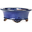 Vaso per bonsai ovale blu di Shibakatsu - 126 x 103 x 45 mm