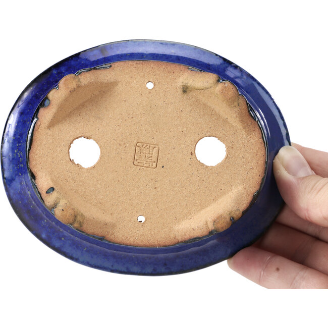 Ovale blauwe bonsaipot van Shibakatsu - 126 x 103 x 45 mm