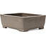 Maceta de bonsái rectangular sin esmaltar de Shibakatsu - 125 x 100 x 42 mm