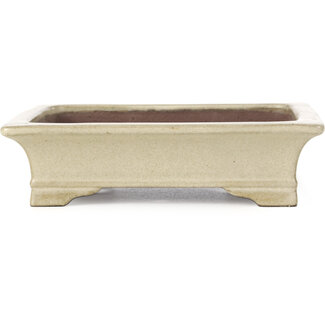  Shibakatsu (Katsuichi Shibata) 160 mm rectangular beige bonsai pot by Shibakatsu, Tokoname, Japan