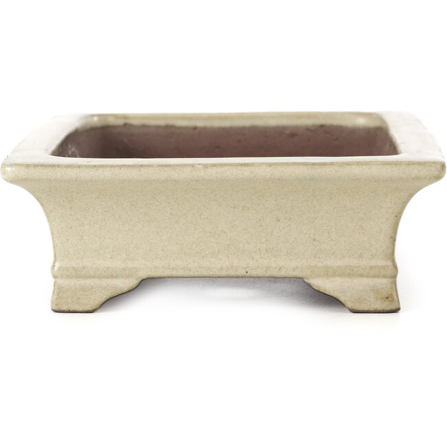 Vaso per bonsai rettangolare beige di Shibakatsu - 160 x 120 x 41 mm