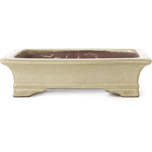 Rechteckige beige Bonsaischale von Shibakatsu - 160 x 120 x 41 mm