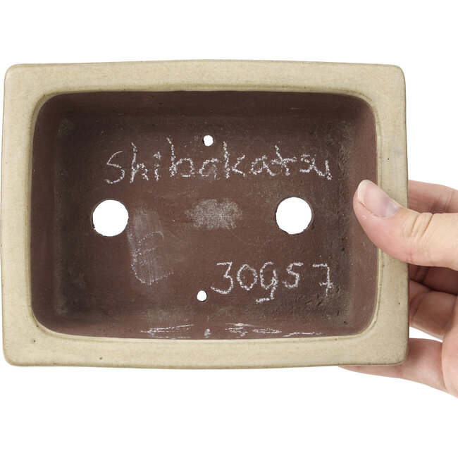 Rechteckige beige Bonsaischale von Shibakatsu - 160 x 120 x 41 mm
