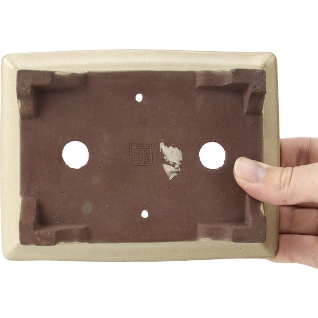 Pot à bonsaï rectangulaire beige par Shibakatsu - 160 x 120 x 41 mm